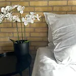 Move Eco Health Kalundborg