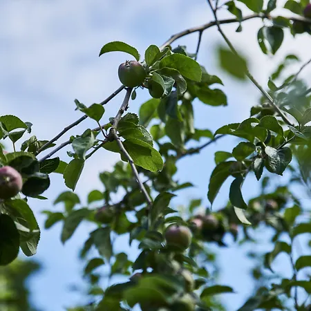 Move Eco Health فندق كالوندبورج